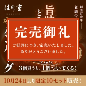【10/31日出荷限定】ハンバーグ3個＋1個サービス【限定10セット】