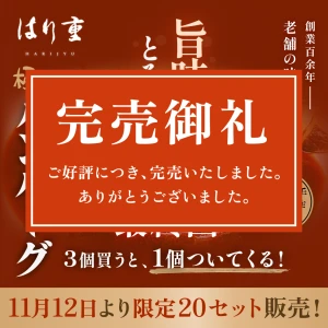 【11/23日出荷限定】ハンバーグ3個＋1個サービス【限定20セット】